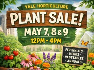 Yale Plant Sale
