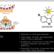 Info graphic about serotonin